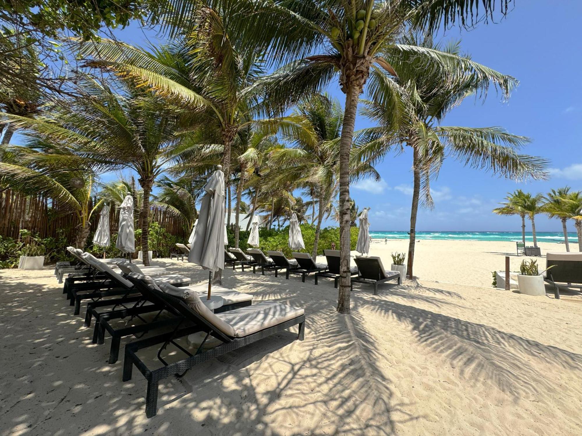 The Reef Playacar Beach Resort & Spa Playa del Carmen Eksteriør bilde